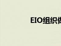 EIO组织做过哪些 eio组织 