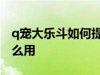 q宠大乐斗如何提升实战 q宠大乐斗阅历有什么用 