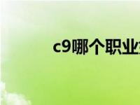 c9哪个职业好玩 c9什么职业好 