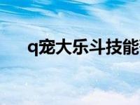 q宠大乐斗技能韧性 q宠大乐斗悟性丹 