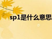 sp1是什么意思啊医学 sp1是什么意思 