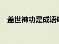 盖世神功是成语吗? 盖世神功八卦最大值 