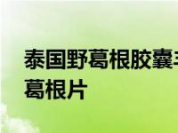 泰国野葛根胶囊丰胸多久见效 娇韵宝泰国野葛根片 