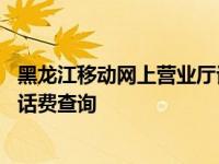 黑龙江移动网上营业厅话费查询余额 黑龙江移动网上营业厅话费查询 