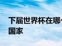 下届世界杯在哪个国家赛 下届世界杯在哪个国家 