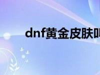 dnf黄金皮肤叫什么 dnf黄金梦活动 