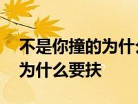 不是你撞的为什么要扶法官后续 不是你撞的为什么要扶 