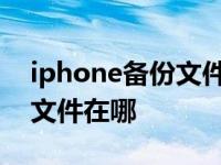 iphone备份文件在哪里win10 iphone备份文件在哪 