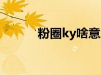 粉圈ky啥意思 ky粉是什么意思 