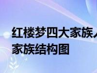 红楼梦四大家族人物关系 结构图 红楼梦四大家族结构图 