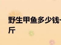 野生甲鱼多少钱一斤合适 野生甲鱼多少钱一斤 