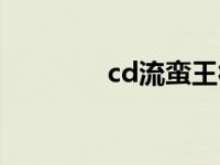 cd流蛮王符文 ap蛮王符文 