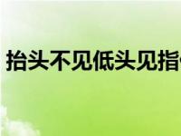 抬头不见低头见指什么生肖 抬头不见低头见 