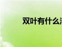 双叶有什么治疗功效? 双叶みか 