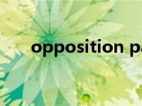 opposition party翻译 opposition 