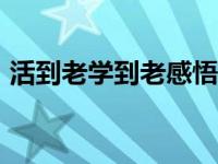 活到老学到老感悟800 人活到老学到老感悟 