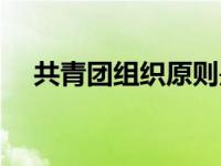 共青团组织原则是什么 共青团组织原则 