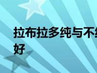 拉布拉多纯与不纯对照 金毛好还是拉布拉多好 