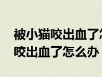 被小猫咬出血了怎么办了需要打针吗 被小猫咬出血了怎么办 