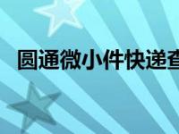 圆通微小件快递查询单号 圆通微小件查询 