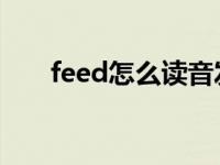 feed怎么读音发音 音标 feed怎么读 