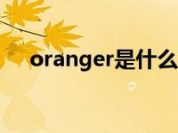 oranger是什么意思 anger是什么意思 