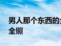 男人那个东西的全照叫什么 男人那个东西的全照 