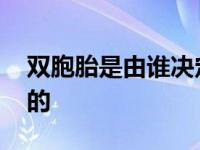 双胞胎是由谁决定的基因 双胞胎是由谁决定的 