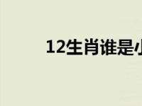 12生肖谁是小人 小人是什么生肖 