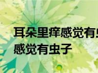 耳朵里痒感觉有虫子是怎么回事 耳朵里面痒感觉有虫子 