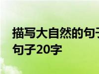 描写大自然的句子20字怎么写 描写大自然的句子20字 