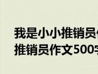 我是小小推销员作文500字说明文 我是小小推销员作文500字 