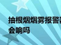 抽根烟烟雾报警器有反应吗 抽烟烟雾报警器会响吗 