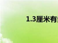 1.3厘米有多长 3厘米有多长 