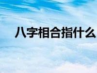 八字相合指什么 八字相合可成亲打一字 