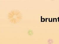 brunts翻译 brunt 