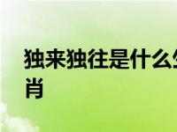 独来独往是什么生肖最佳 独来独往是什么生肖 