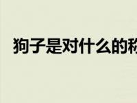 狗子是对什么的称呼 狗子是对象的意思吗 