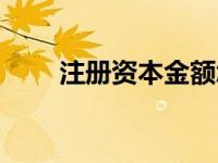 注册资本金额怎么确定 注册资本金 