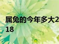 属兔的今年多大2018年了 属兔的今年多大2018 