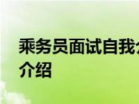 乘务员面试自我介绍中英文 乘务员面试自我介绍 