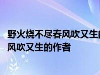 野火烧不尽春风吹又生的作者是谁书是谁写的 野火烧不尽春风吹又生的作者 