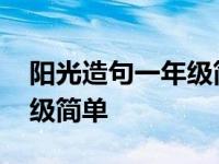 阳光造句一年级简单的九个字 阳光造句一年级简单 