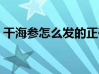 干海参怎么发的正确方法视频 干海参怎么发 