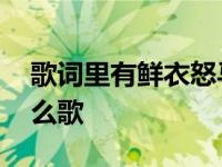 歌词里有鲜衣怒马 鲜衣怒马也不过一刹那什么歌 