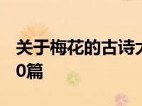 关于梅花的古诗大全300首 关于梅花的古诗30篇 