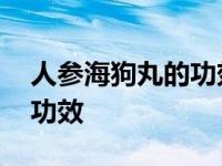 人参海狗丸的功效与主治作用 人参海狗丸的功效 