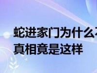 蛇进家门为什么不能打死 蛇进家门不能打的真相竟是这样 