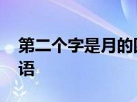 第二个字是月的四字词语 第二个字是月的成语 