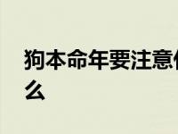 狗本命年要注意什么东西 狗本命年要佩戴什么 